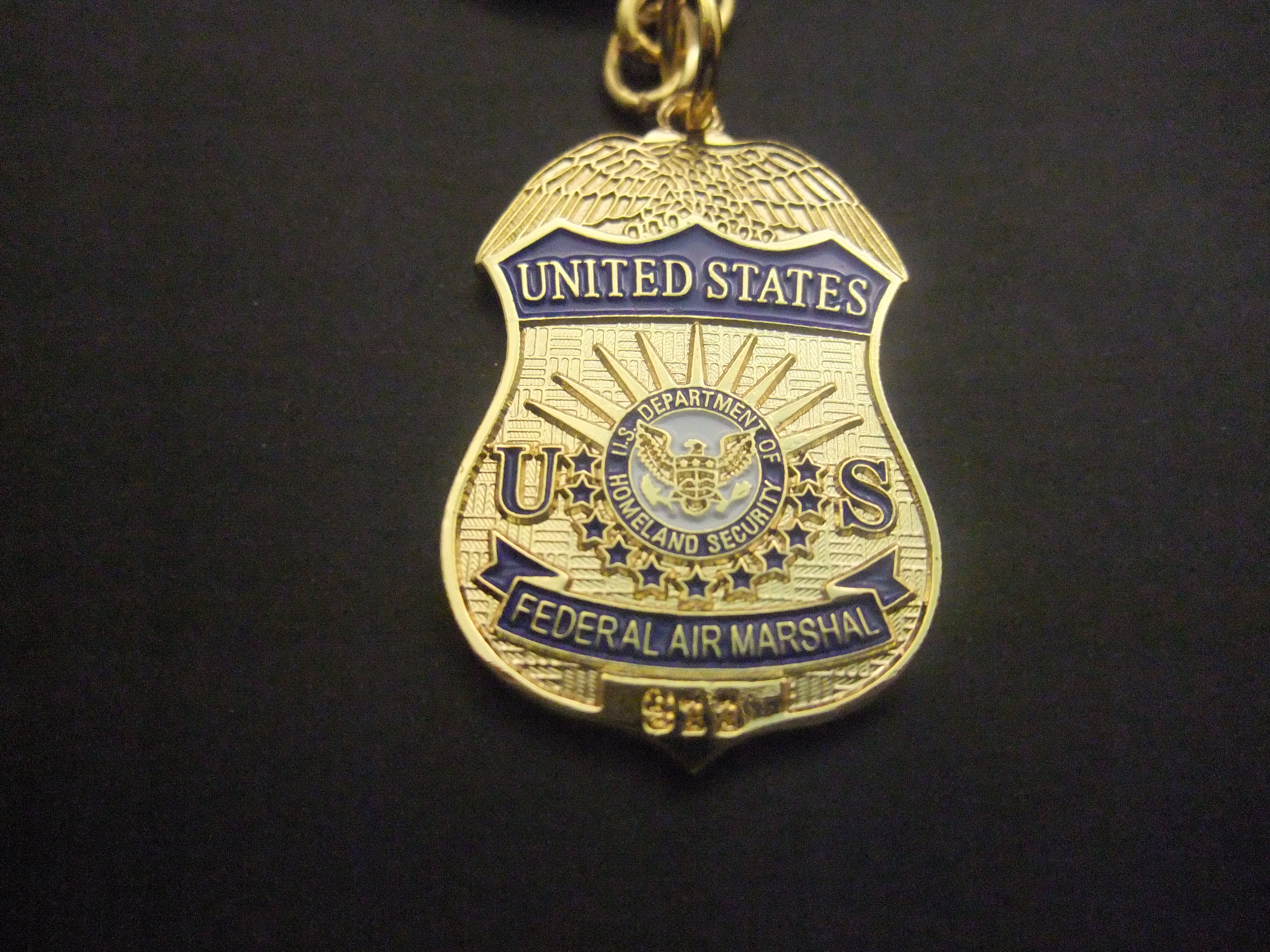 United States homeland security Federal Air Marshal